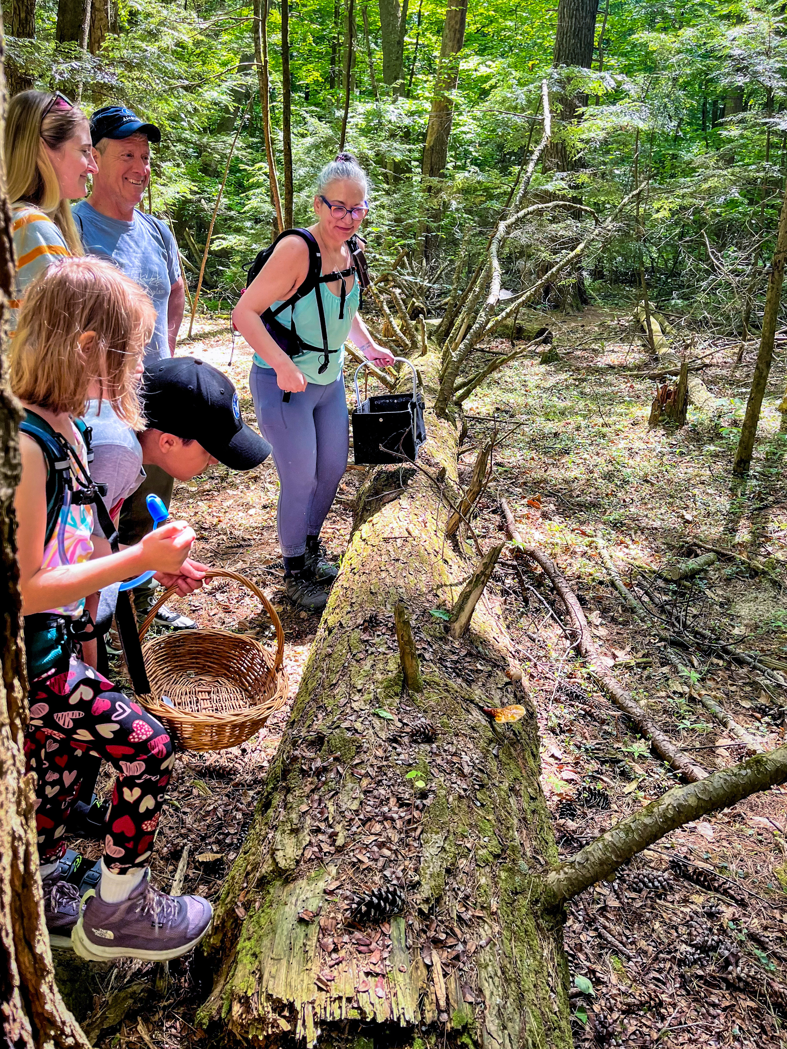 Checking out Reishi