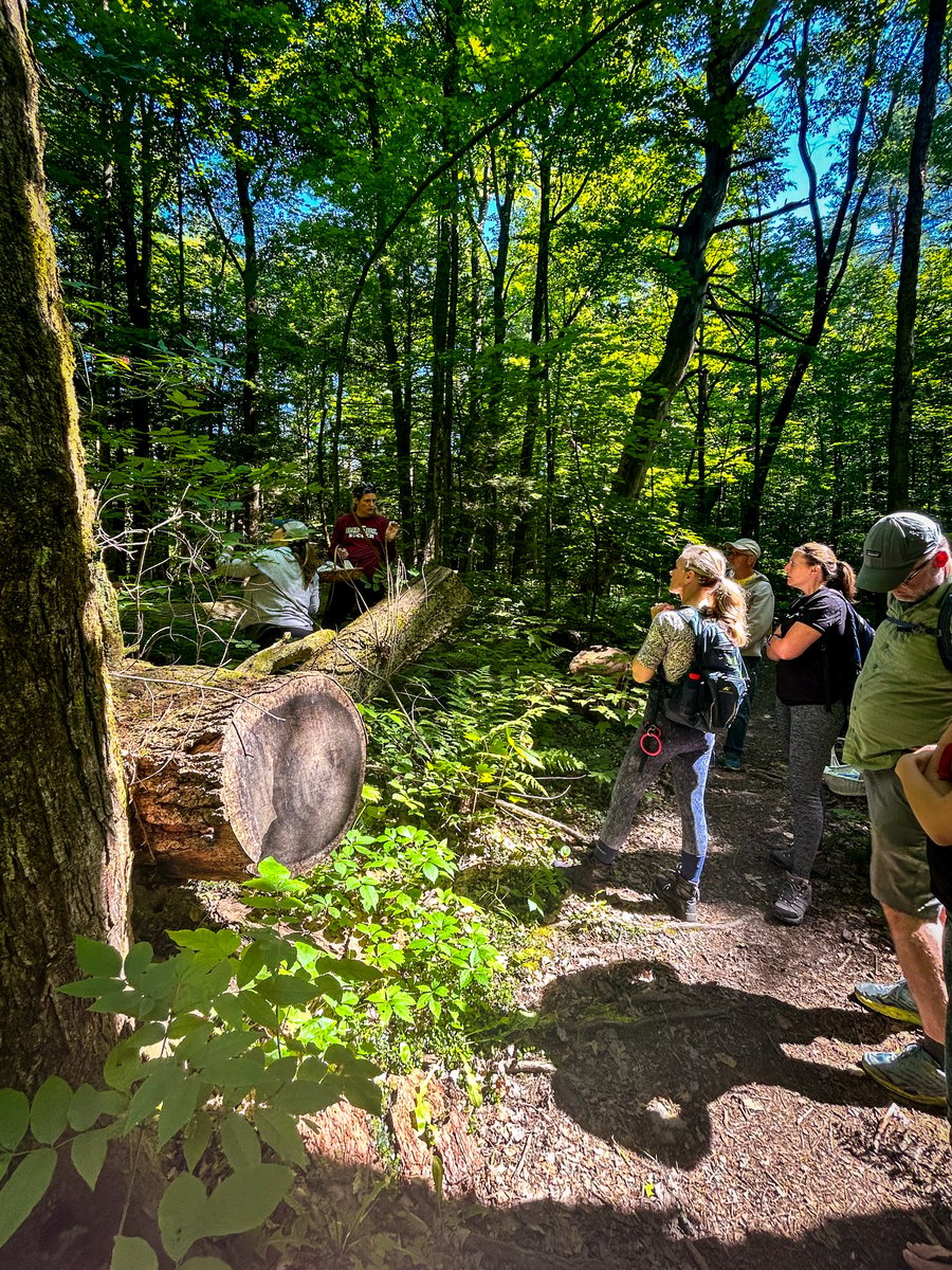 Elderberries and observers