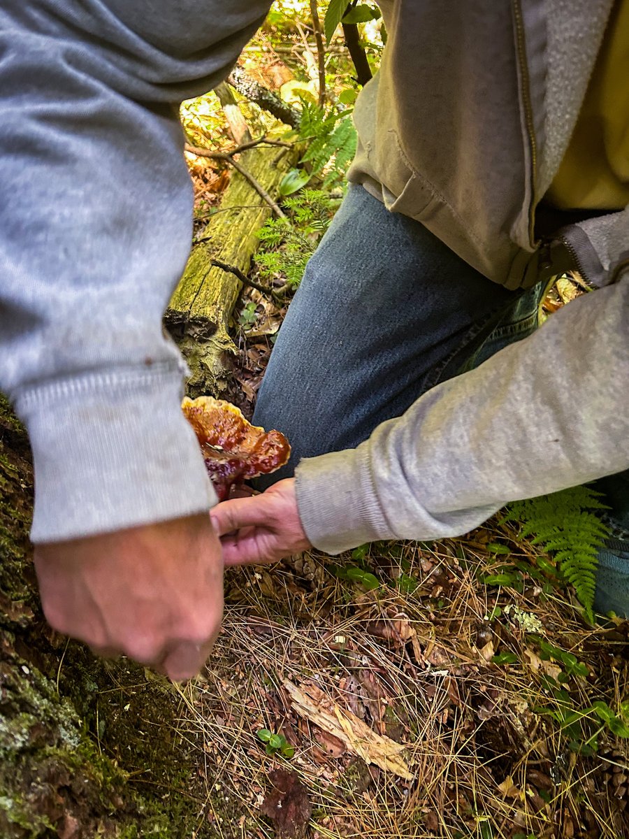 Jon with Reishi 2