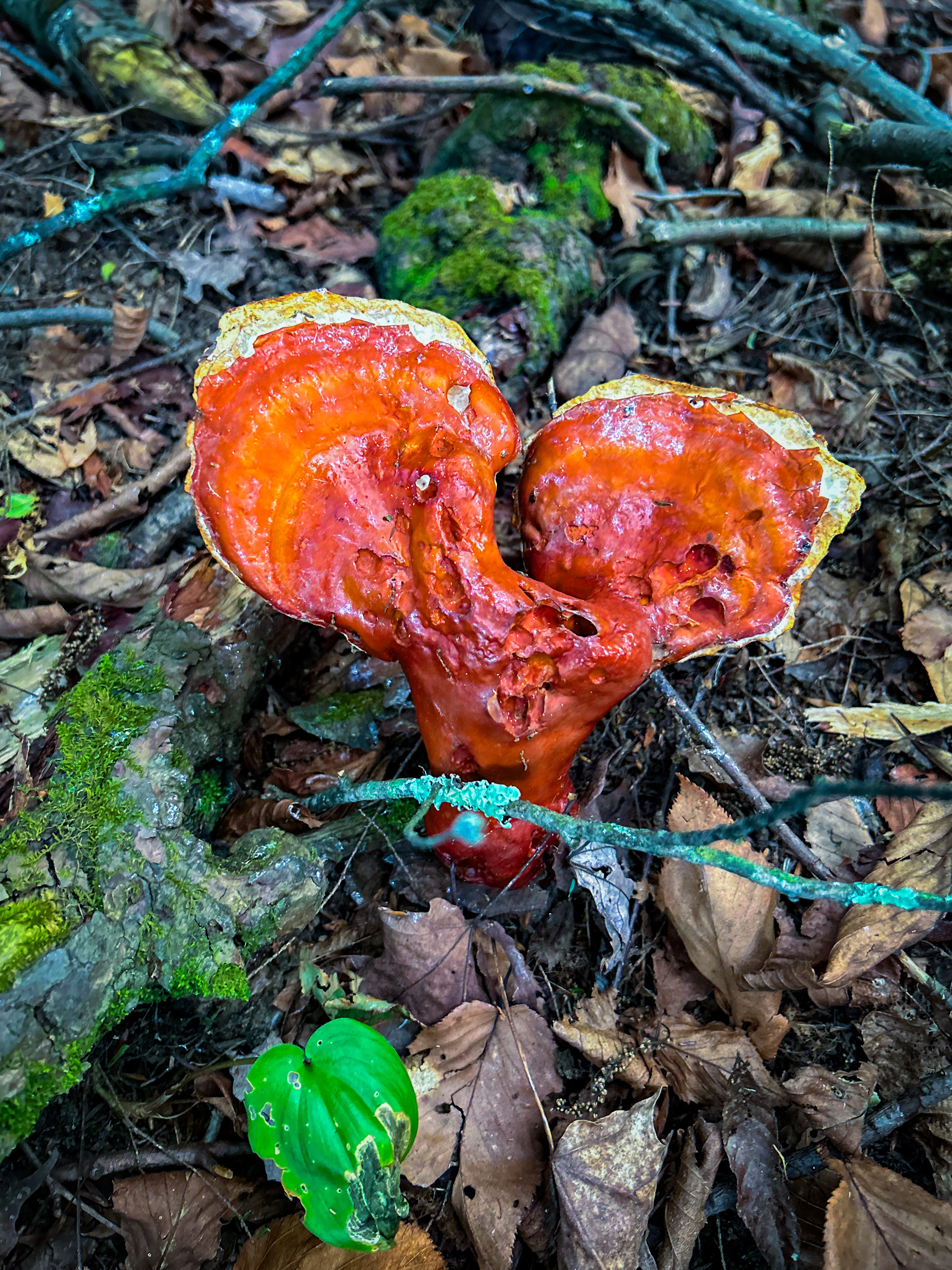 IMG_8107