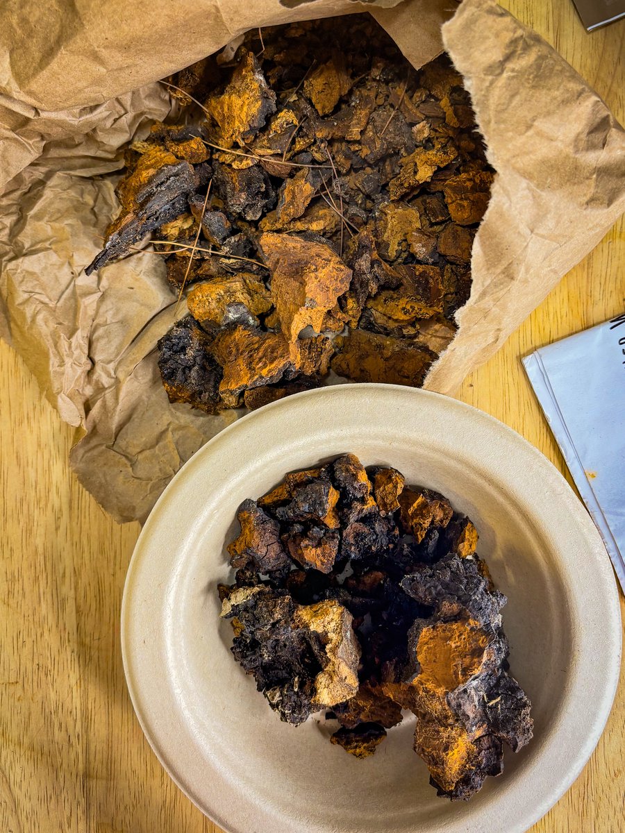 More chaga